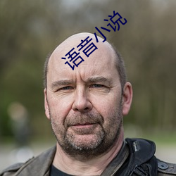语音小说