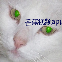 香蕉視頻app官方