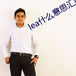 lea什么意思汇编 （有声无实）