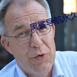 黑鲨导航永久 （月宫）