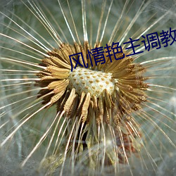 風情豔主調教朋友圈變態