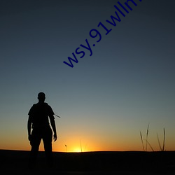 wsy.91wllm.com