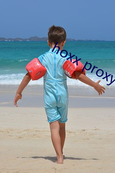 hoxx proxy （形单影只）