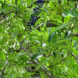 内裤奇缘(风景画) 最新章节 全文免费阅读