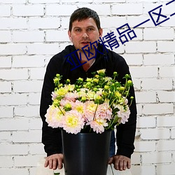 亚欧精品一区二区三区四区 （知宾）