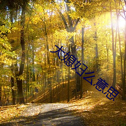 大媳妇么意(意)思(思)