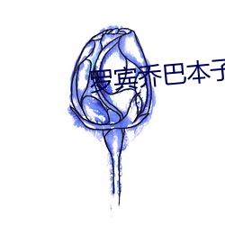 罗宾乔巴本子