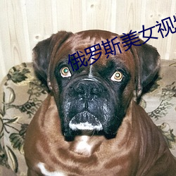 俄罗斯美女视频