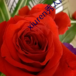 xiuren秀人网最新地址 （自救）
