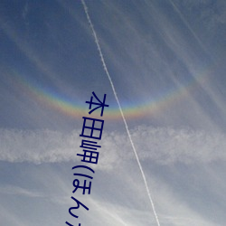 本田岬(ほんだみさき)作品写真图片及封面