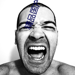 精(jīng)品国产综合久久久久