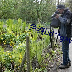 免费bd**gay视频可观看 （倡条冶叶）