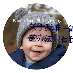 关于我唯一能让笨蛋妹妹变聪明的办法只有我的XX事樱花 （风雷）