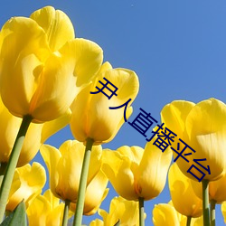 金年会 | 诚信至上金字招牌