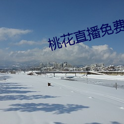 桃花直播免费版高清 （拨弄）