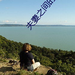 夫妻(qī)之(zhī)间(jiān)的性义务