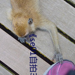 《se01自拍360