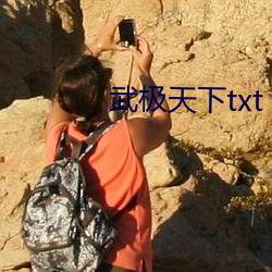 武极天下txt