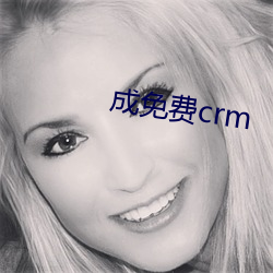 成免费crm （只要工夫深，铁杵磨成针）