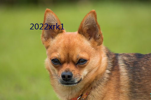 2022xrk1