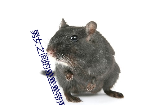 男女之間的差差差帶聲音