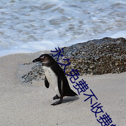 永久(久)免费不(不)收费(費)的(的)软(軟)件APP