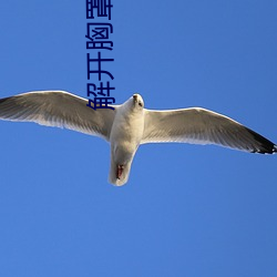 解开胸罩揉着(zhe)她的乳尖