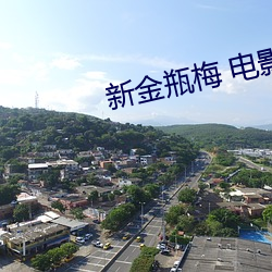 新金瓶梅 电影