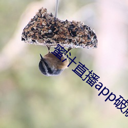 金年会 | 诚信至上金字招牌