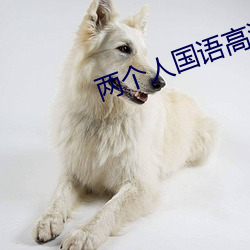两个人国语高清在线观看