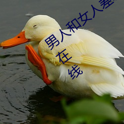 男人和女人差差差很疼30分电视剧完整版在线 （打赌）