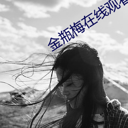 金瓶梅在线观看全集高清电