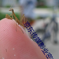 京东传媒影业密友在线观看 （风雨）