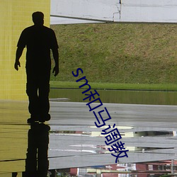sm和马调教