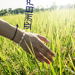 凯时|AG(AsiaGaming)优质运营商