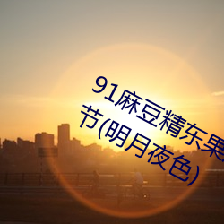 91麻豆精东果冻天美传媒老狼最新章节(明月夜色)