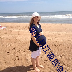 秦九月江谨言全文免费阅读 （高抬贵手）