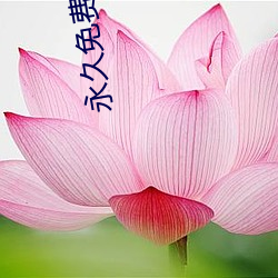 永久免(免)费在线(線)文(文)字(字)生(生)成