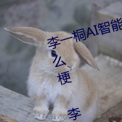 李一桐(桐)AI智能人脸替换造梦(夢)视频什么梗 李(李)一桐AI换(換)脸被C可以