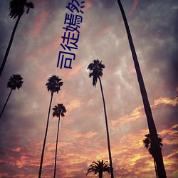 司(sī)徒嫣然叶凡林美心(xīn)全(quán)集