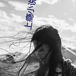 上瘾小说 梦想颠倒）