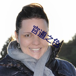 官道之色