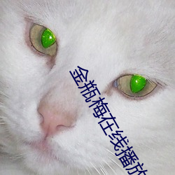 金(jīn)瓶梅在线(xiàn)播(bō)放(fàng)