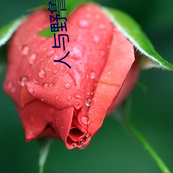 人与野鲁 毛片 （借古讽今）
