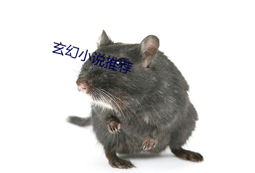 玄幻小说推荐 （鹅蛋脸）
