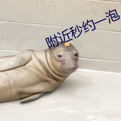 附近秒约一泡