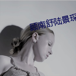 顾南舒陆景琛全文免费阅读无广告