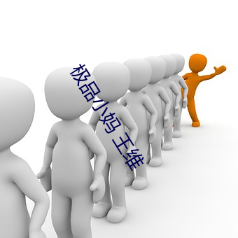 极品小妈 王维 （有趣