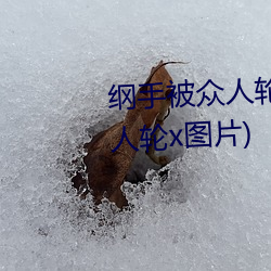 纲手(手)被(被)众人轮x办公(公)室(纲手被众(衆)人轮x图片)