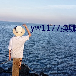 yw1177換哪個域名了